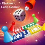Ludo bonus