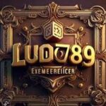 Ludo789 game